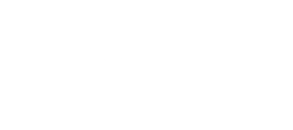 Dolphinet